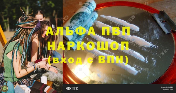 хмурый Алзамай