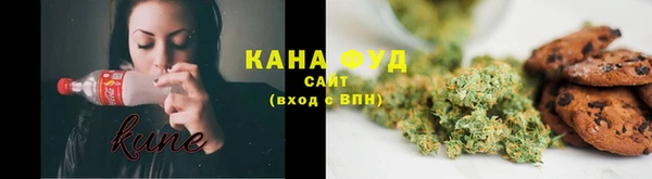 хмурый Алзамай