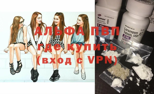 хмурый Алзамай