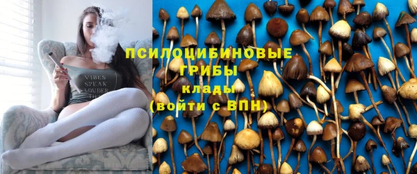 герыч Дмитриев