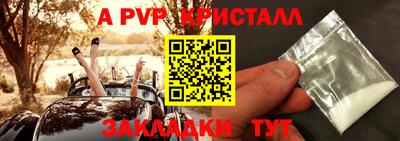 прущие грибы Ирбит