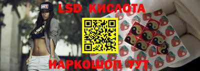 прущие грибы Ирбит
